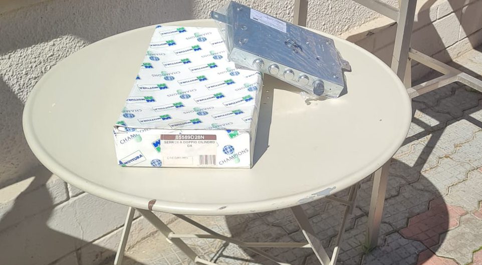 broasca traditionala