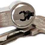 Tipuri de butuci usa